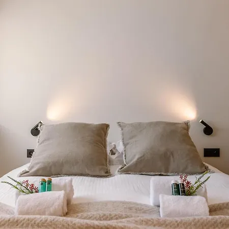 Apartment Luxurious Renovated On Location In